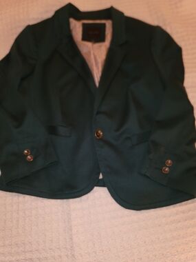 The Limited Teal Blazer with Polka Dot Lining